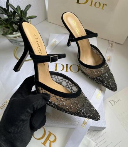 Christian Dior Pointed Heel Mule