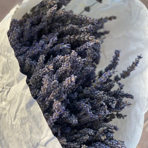 لافندر مجفف - حزمة Lavender