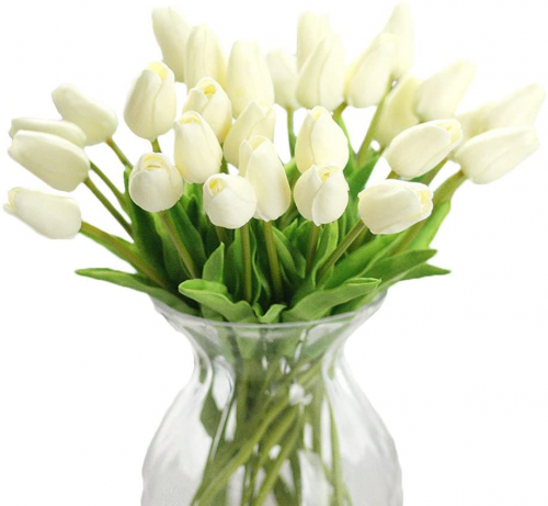 توليب شدة 10 أغصان - Tulip