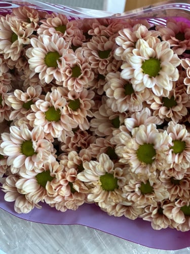 بيبي كريس 5 اغصان