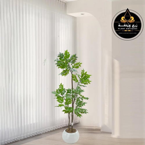 شجرة القيقب الصناعي