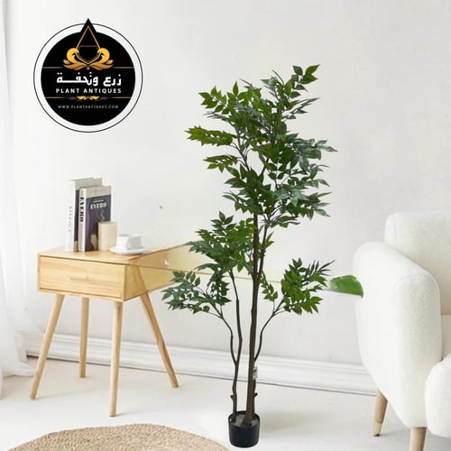 شجر القيقب الاصتطناعي