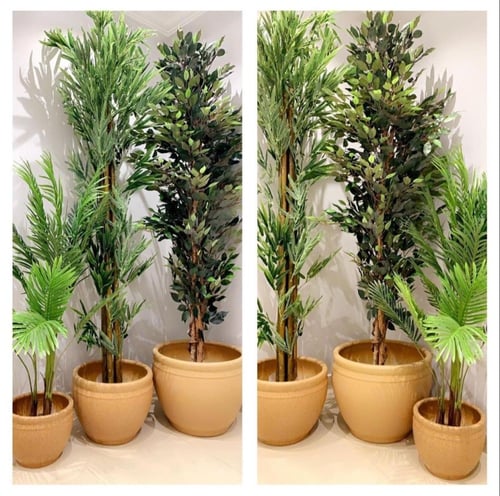 طقم من الأحواض الأسمنتية بلون جذاب