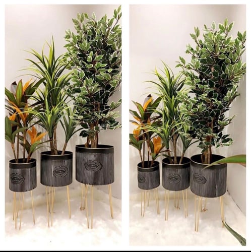 مراكن معدنية مقلمة بطريقة جذابة باللون الأسود والذ...