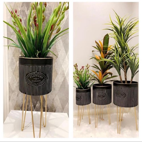 مراكن معدنية مقلمة بطريقة جذابة باللون الأسود والذ...