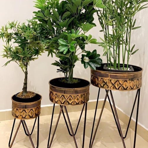 طقم مراكن للزهور والأشجار بشكل جذاب