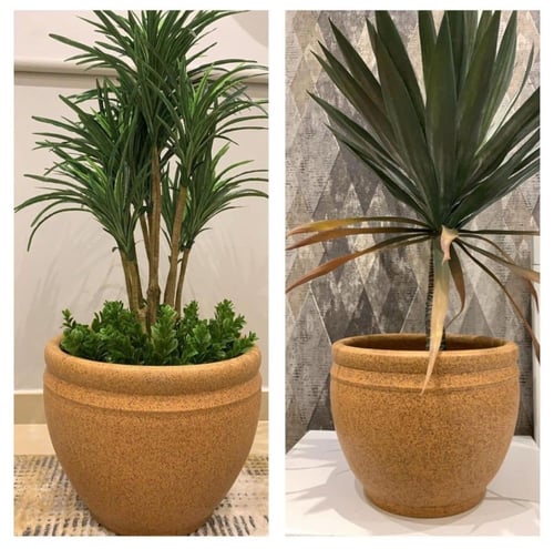 طقم من الأحواض الأسمنتية بلون جذاب