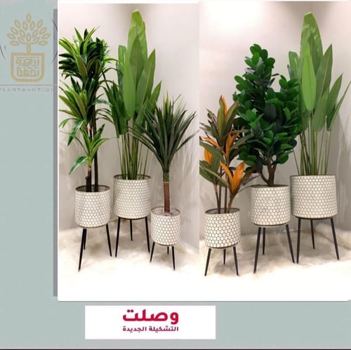 طقم من المراكن المعدنية باللون الأبيض والنقش الذهب...