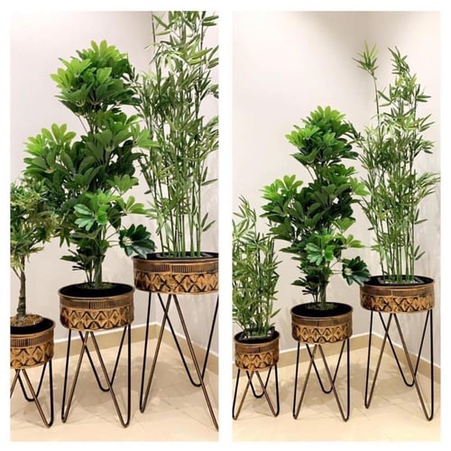 طقم مراكن للزهور والأشجار بشكل جذاب