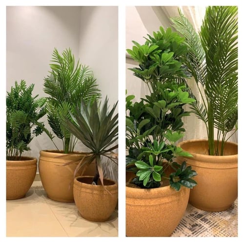 طقم من الأحواض الأسمنتية بلون جذاب