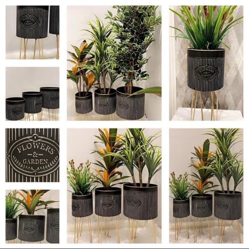 مراكن معدنية مقلمة بطريقة جذابة باللون الأسود والذ...