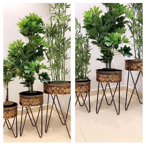 طقم مراكن للزهور والأشجار بشكل جذاب