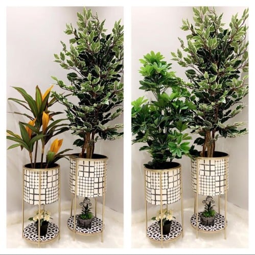 طقم من المراكن تحكي بكل تفاصيلها