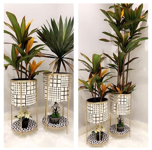 طقم من المراكن تحكي بكل تفاصيلها