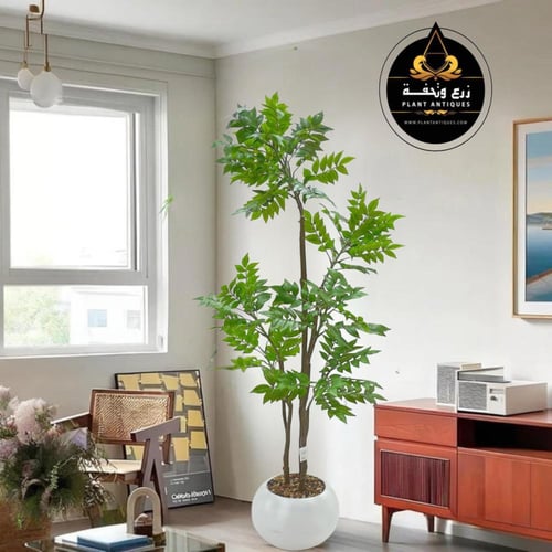 شجرة القيقب الصناعي