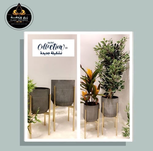 طقم من المراكن المعدنية وبشكل جديد وقاعدة ذهبية