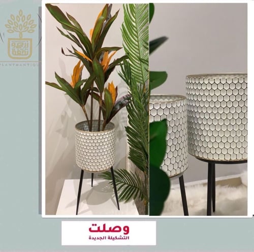 طقم من المراكن المعدنية باللون الأبيض والنقش الذهب...