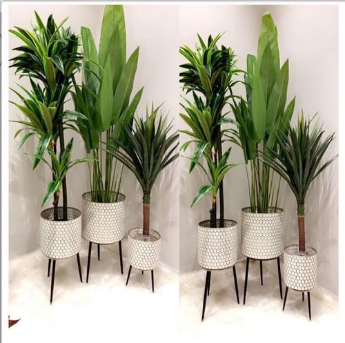 طقم من المراكن المعدنية باللون الأبيض والنقش الذهب...