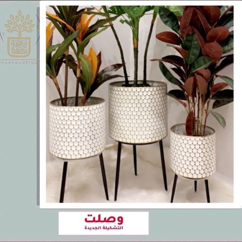 طقم من المراكن المعدنية باللون الأبيض والنقش الذهب...