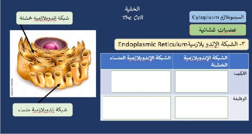 الفصل الثاني : الدرس الأول ( الخلية )
