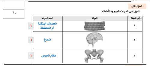 ثلاث نماذج اختبار عملي نهائي مقرر أنظمة الجسم ١-١
