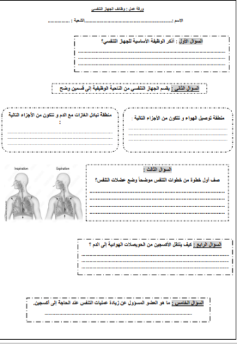 ورقة عمل درس وظائف الجهاز التنفسي