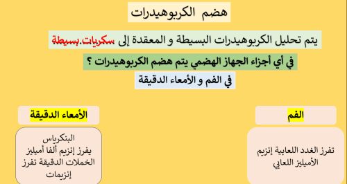 عرض درس : هضم المواد المغذية