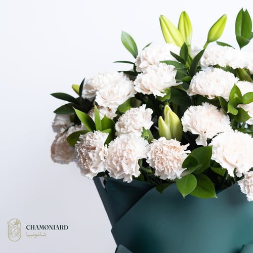 باقة القرنفل