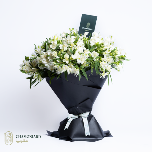 باقة الإستوماريا