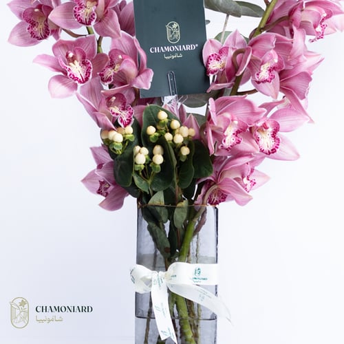 فازة سمبيديوم