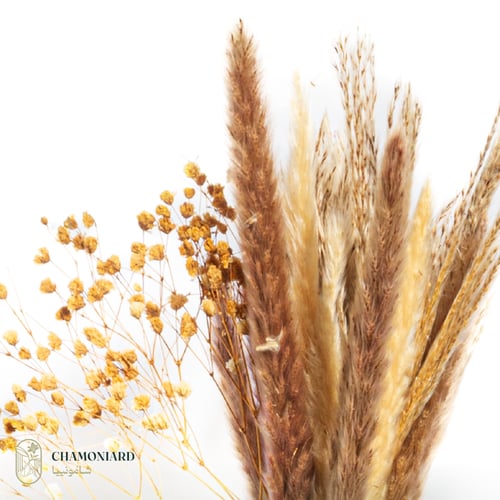 تحفة زهرة الريش