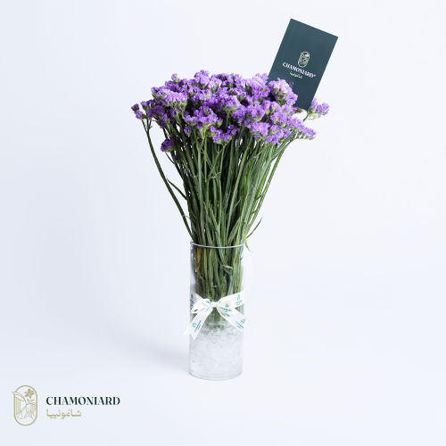 فازة ستاتيس