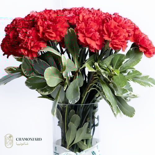 فازة القرنفل الأحمر