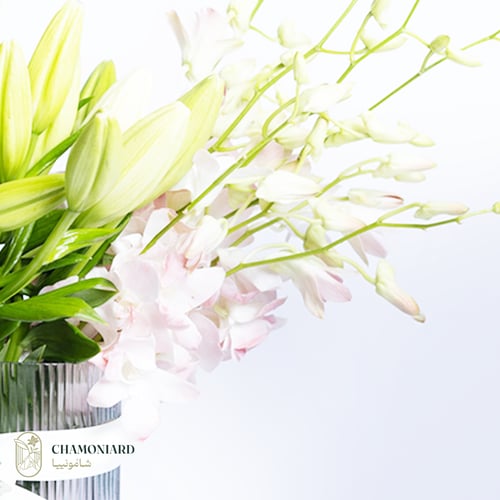 فازة الأوركيد الوردي