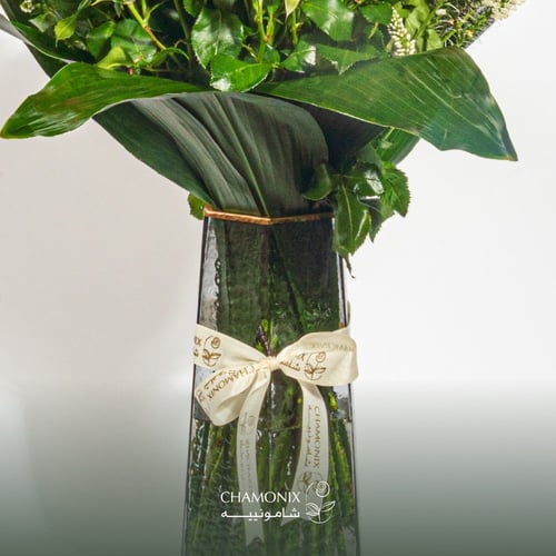 فازة الخزامى