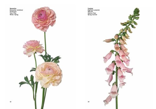 Flower Color Guide