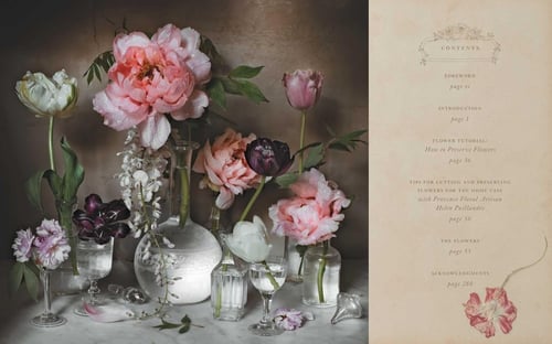 The Flowers of Provence