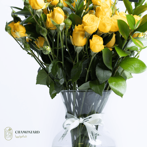 فازة البيبي روز والسفندر