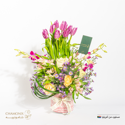 فازة التوليب الفخارية