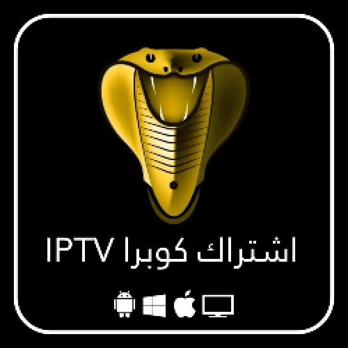 اشتراك الكوبرا سنه