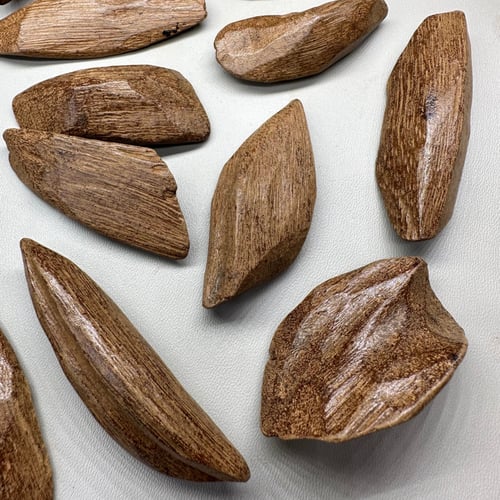 عود مروكي محسن فاخر