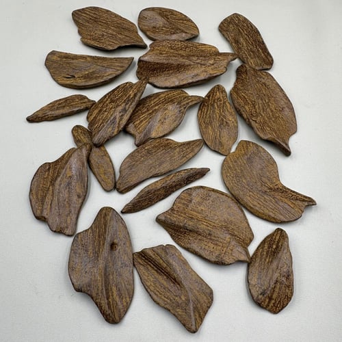 عود مروكي محسن مصدر خاص