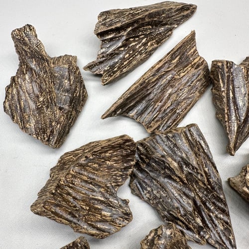 عود كلمنتان محسن دبل سوبر