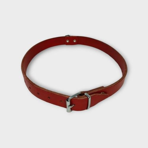 Rondo Collar NO:02089 70cm 25mm Red PET COLLAR طوق...