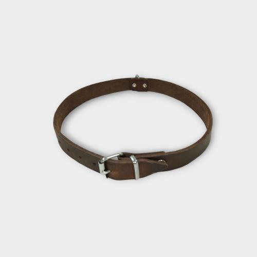 Rondo Collar NO:02037 42cm 16mm Brown PET COLLAR ط...