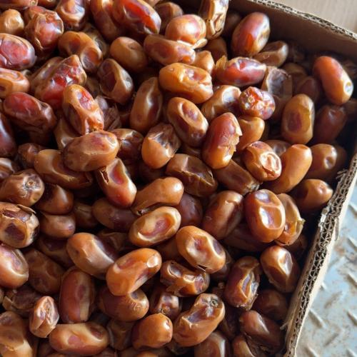 تمر خلاص فاخر وسط | Premium Khalas Dates In The Mi...
