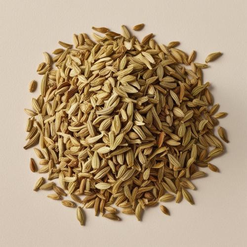 شمر حلوة هندية | Indian Sweet Fennel