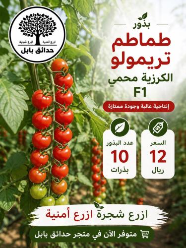 بذور طماطم تريمولو F1