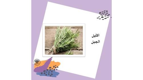 بذور اكليل الجبل متوارث