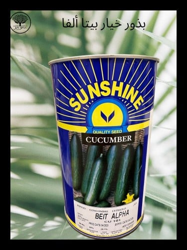 بذور خيار بيتا ألفا متوارث عبوة كبيرة